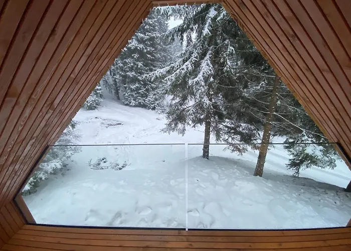 Brunarica Rogla Sauna Chalet